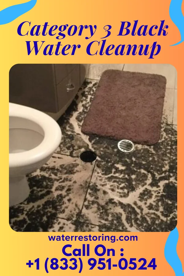 Category 3 Black Water Cleanup in Rolland Colony, SD